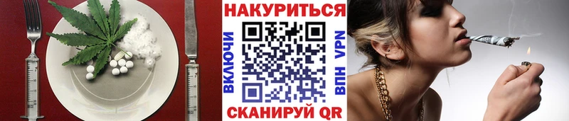 как найти   Новотроицк  Canna-Cookies конопля 
