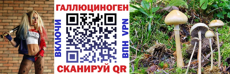 Галлюциногенные грибы MAGIC MUSHROOMS  Новотроицк 